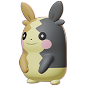 モルペコ